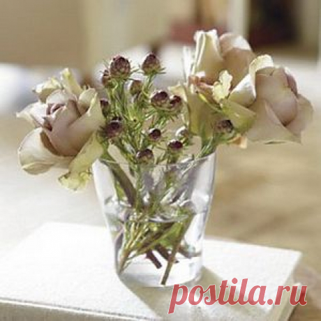 (+1) тема - Вазы в каждый дом! | УЮТНЫЙ ДОМ | советы