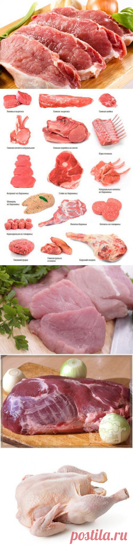 (+1) - Какое мясо выбрать для шашлыка: 8 правил для рынка и магазина | ПОТРЕБИТЕЛЬ, БДИ