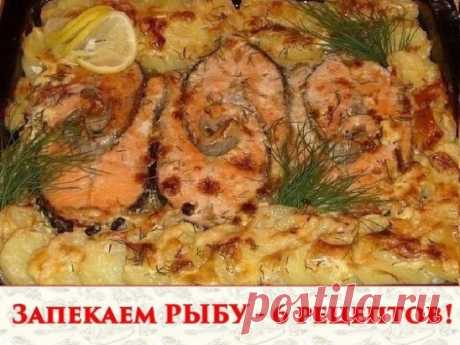 1. Обалденная вкусная запеканка картофельная с рыбкой
Получается изумительная хрустящая сырная корочка! И рыбка, и картошка в сливках со специями приобретают нежный пикантный вкус! Быстро, легко и вкусно! Рецепт для уютного семейного ужина, все будут довольны и сыты.
Ингредиенты:
- 5-6 картофеля
- 500 г рыбы
- 2 помидора
- 1 большая луковица
- сыр
- зелень
- сливки
Приготовление:
Многие соблюдают пост, поэтому сливки можно заменить рыбным бульоном. И тогда верхний слой вместо сыра можно выл