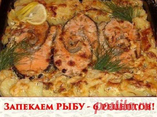 1. Обалденная вкусная запеканка картофельная с рыбкой
Получается изумительная хрустящая сырная корочка! И рыбка, и картошка в сливках со специями приобретают нежный пикантный вкус! Быстро, легко и вкусно! Рецепт для уютного семейного ужина, все будут довольны и сыты.
Ингредиенты:
- 5-6 картофеля
- 500 г рыбы
- 2 помидора
- 1 большая луковица
- сыр
- зелень
- сливки
Приготовление:
Многие соблюдают пост, поэтому сливки можно заменить рыбным бульоном. И тогда верхний слой вместо сыра можно выл