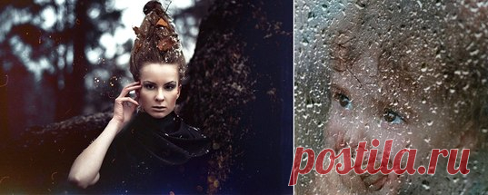 Системно-векторная психология