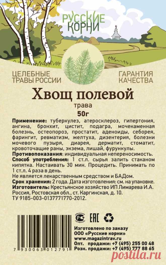 Хвощ полевой купить по цена 120 руб. Инструкция, полезные свойства