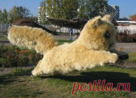 115578967_large_img_moytop_ru.jpg (604×436)
