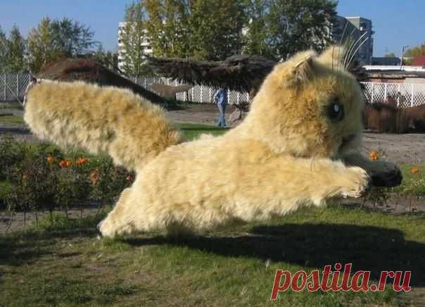 115578967_large_img_moytop_ru.jpg (604×436)