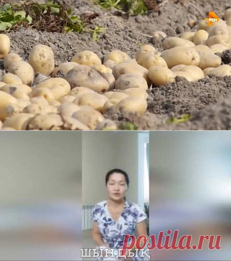 (56) Одноклассники