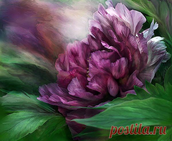 Peony - 50 Shades Of Black Mixed Media by Carol Cavalaris - Peony - 50 Shades Of Black Fine Art Prints and Posters for Sale
