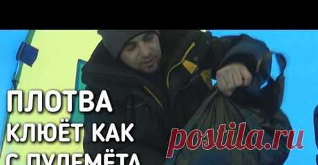 Плотва клюет как с пулемета перед проверкой продольников / братья приходько - видео онлайн. Сайт Новосибирских рыбаков Видео: Плотва клюет как с пулемета перед проверкой продольников / братья приходько -  бесплатно. Рубрика: Видеоотчеты о рыбалке. Добавлено пользователем БратьяПриходько в 2018 году. Всем здравия! Перед тем как ехать проверять продольники обязательно нужно наловить живца и попутно