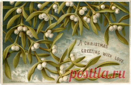 Старомодный Омела Клип - Графика Фея