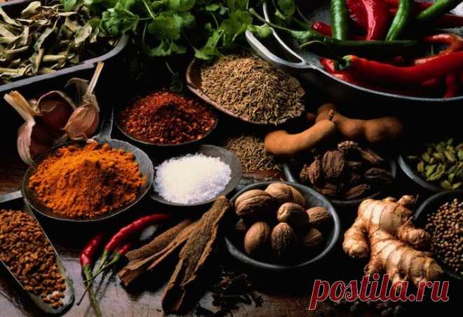Продукты чтобы не болеть | Bazaar.ru