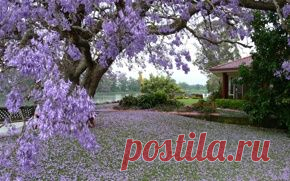 Природа обои на рабочий стол - страница 256