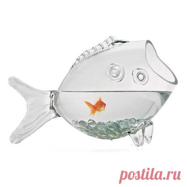 Забавный аквариум для золотой рыбки. $70 USD. Мне даже рыбку захотелось завести. Интересно, владельцы рыбок поделитесь, у Вас какие аквариумы?