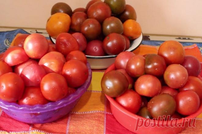 Как сделать томатный сок