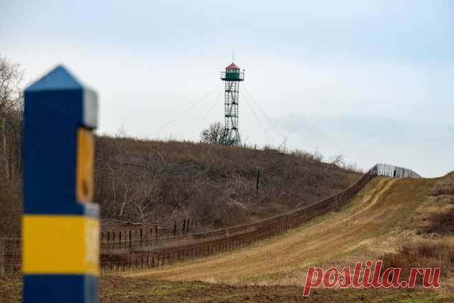 Пароль — «картофель». На Украине вскрыли новую схему побега уклонистов. Проводники больше не сопровождают беглецов до границы лично.
