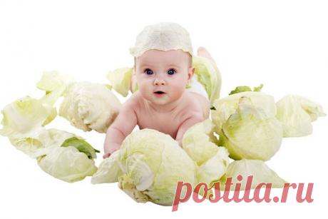 Рецепты заготовки капусты на зиму — 6 соток