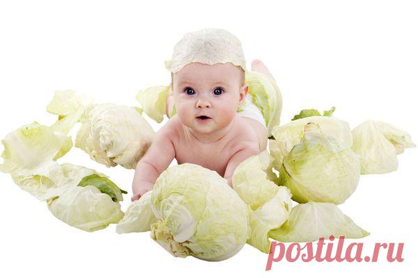 Рецепты заготовки капусты на зиму — 6 соток