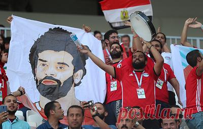 В Египте осудили планируемую акцию в поддержку ЛГБТ на ЧМ по футболу. Ранее соответствующее письмо направила в ФИФА Федерация футбола Ирана