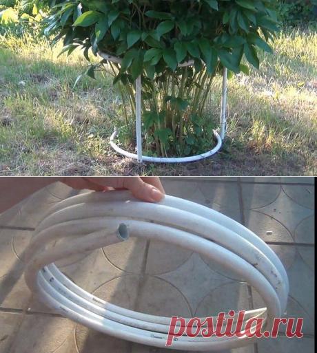 КОНСТРУКЦИЯ ДЛЯ ПОДВЯЗКИ ПИОНОВ своими руками!