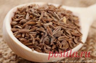 Специя, которая борется с ожирением, бессонницей, анемией, диабетом, повышенной кислотностью и глистами