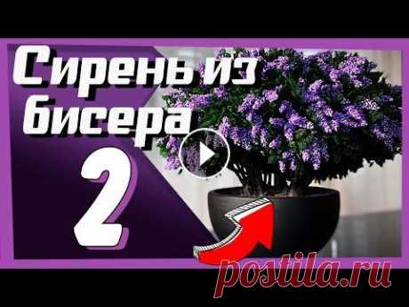 ВТОРАЯ ЧАСТЬ | Сирень из Бисера | МАСТЕР-КЛАСС по бисероплетению Всем Привет, Второе видео готово и мы продолжаем делать очень реалистичный куст сирени из бисера. Сегодня мы разберемся, как из уже сплетенных нами бу...