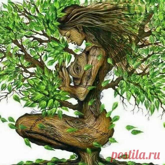 Живые души Деревьев