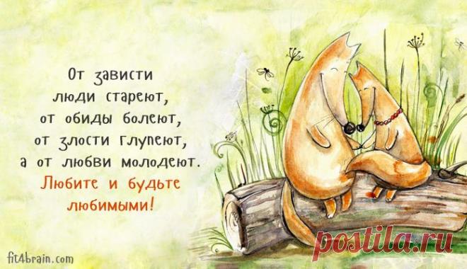 Одной фразой