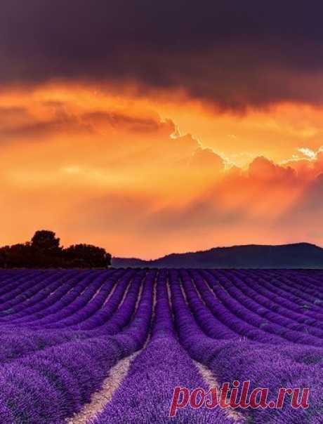 Lavender Sunset, France | sunrise -sunset
