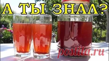 Домашнее ВИНОГРАДНОЕ ВИНО. Пошаговый рецепт