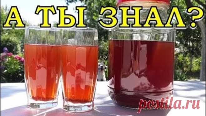 Домашнее ВИНОГРАДНОЕ ВИНО. Пошаговый рецепт