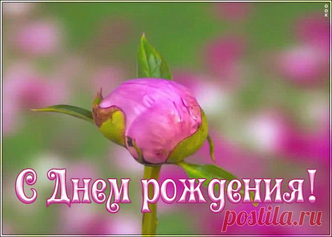 Поздравляю с днём рождения женщине - приятное и искреннее поздравление онлайн. Поздравляю с днём рождения женщине, скачать и отправить бесплатно.