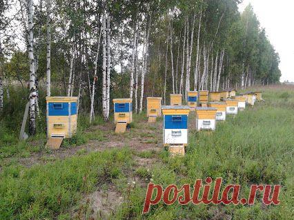 Евгений Корнеев – Google+