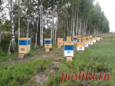 Евгений Корнеев – Google+