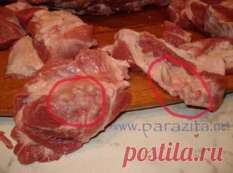 Одноклассники