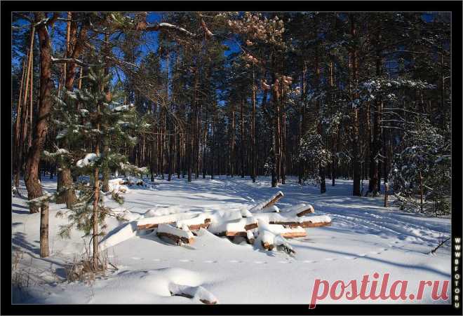 Нарубили дров фото высокого качества, фотобанк
