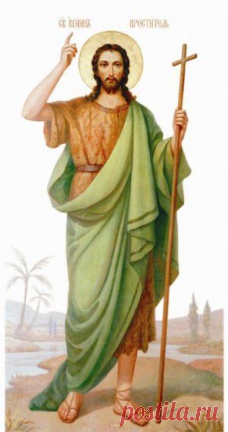 Мирабель – оранжево- желтые плоды. | Наша дача