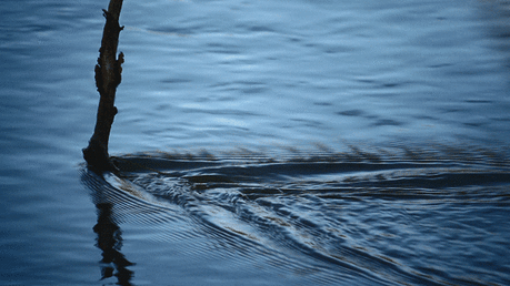 23 Tranquil Nature GIFs That Will Put Your Mind At Ease - 23 картинки для успокоения
