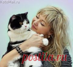 Apskatīt ziņojumu - Inbox Mail