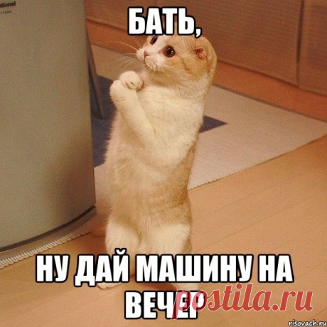 хохма........
