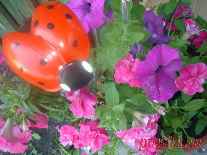 Раз, два, три! Божья коровка готова , лети!!! (легко и просто) | ЖЕНСКИЙ МИР