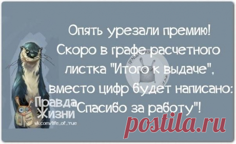 Прикольные фразки в картинках