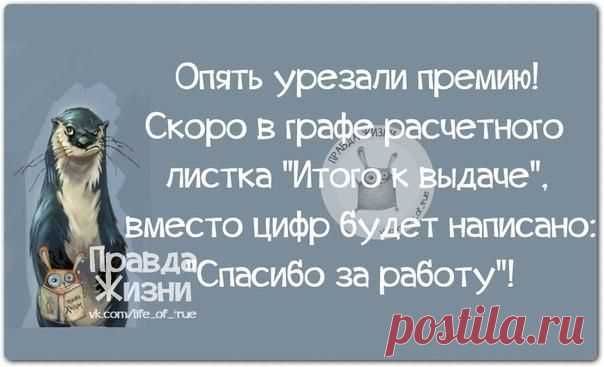 Прикольные фразки в картинках