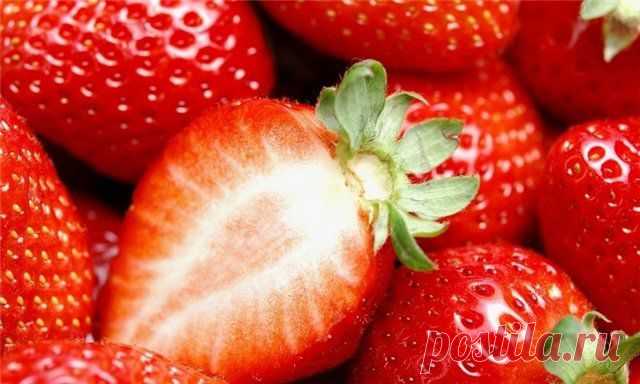 Плоды клубники — диетический продукт питания, утоляет жажду, возбуждает аппетит и улучшает пищеварение. Клубника - очень полезный продукт. Эта ягода обладает противовоспалительным, ранозаживляющим, потогонным, мочегонным, кровоостанавливающим и вяжущим действием. Регулирует обмен веществ, оказывает противосклеротическое действие, улучшает состав крови. ВЫРАЩИВАТЬ КЛУБНИКУ НА ДОМУ-БИЗНЕС НА ДОМУ№1.УЗНАТЬ О ЭТОМ БИЗНЕСЕ