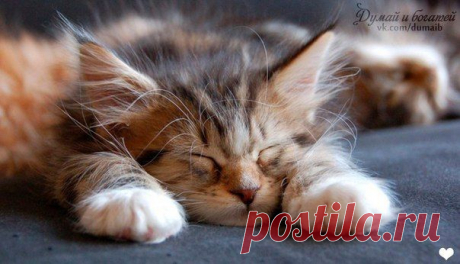 Думай и Богатей