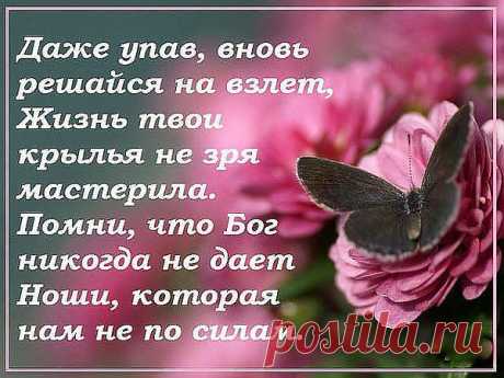 Интересные новости