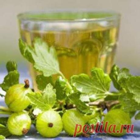 Вино из крыжовника