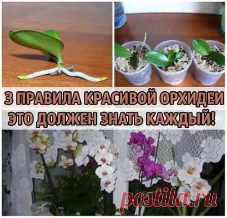 "ЗОЛУШКА" Домашний уют. Здоровье. Красота