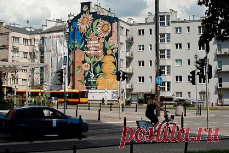 В Польше решили очистить воздух с помощью граффити. Десятки польских городов решили очистить воздух от вредных выбросов с помощью искусства. На многих фасадах жилых домов появились граффити, нарисованные поглощающей загрязнения краской. Один квадратный метр фотокаталитического покрытия может уловить столько же вредных частиц, сколько одно дерево.