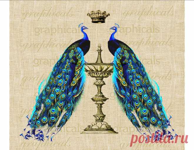 карты для декупажа с павлином: 13 тыс изображений найдено в Яндекс.Картинках