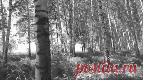 Сборник задушевных советских песен