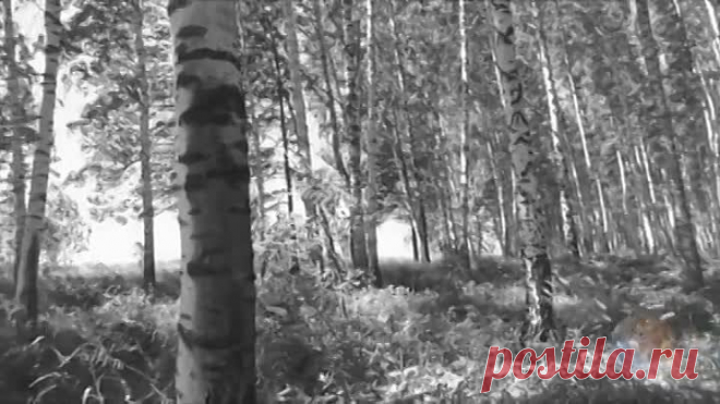 Сборник задушевных советских песен