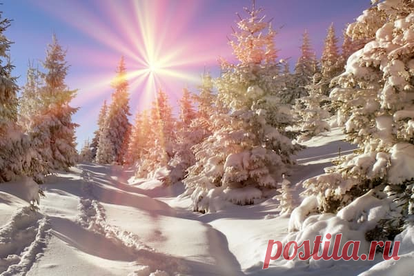 6 марта — Тимофей Весновей | Астрору